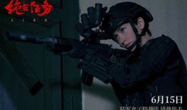 绝密任务在线观看,揭秘神秘行动背后的惊心动魄